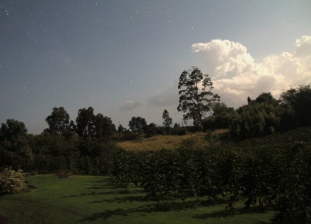 Stargazing in Captain Cook, Hawaii
