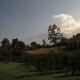 Stargazing in Captain Cook, Hawaii
