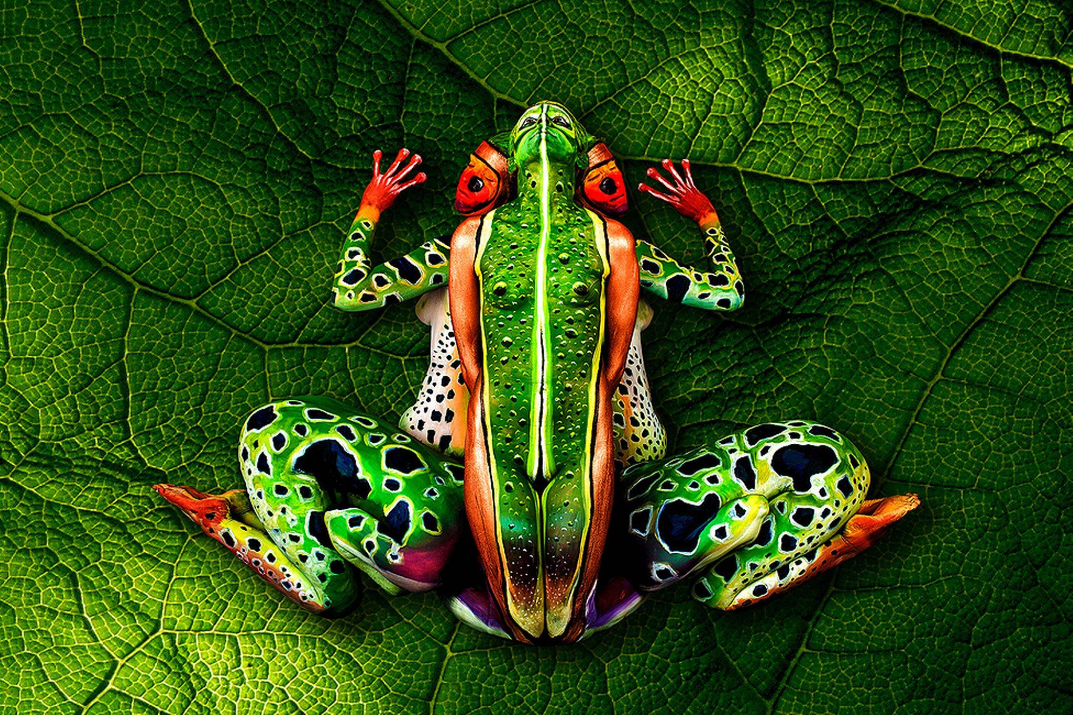“The Frog”, A Bodypainting Masterpiece by Johannes Stötter